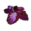 Power Flower