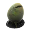 Time Egg