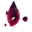 Heart Shard